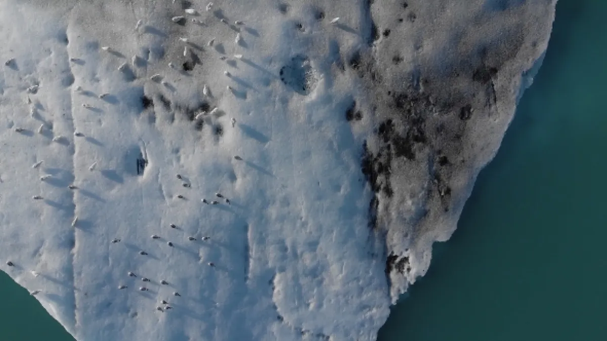 Neuvěřitelná planeta (Impossible Planet), 2019 - fotogaléria