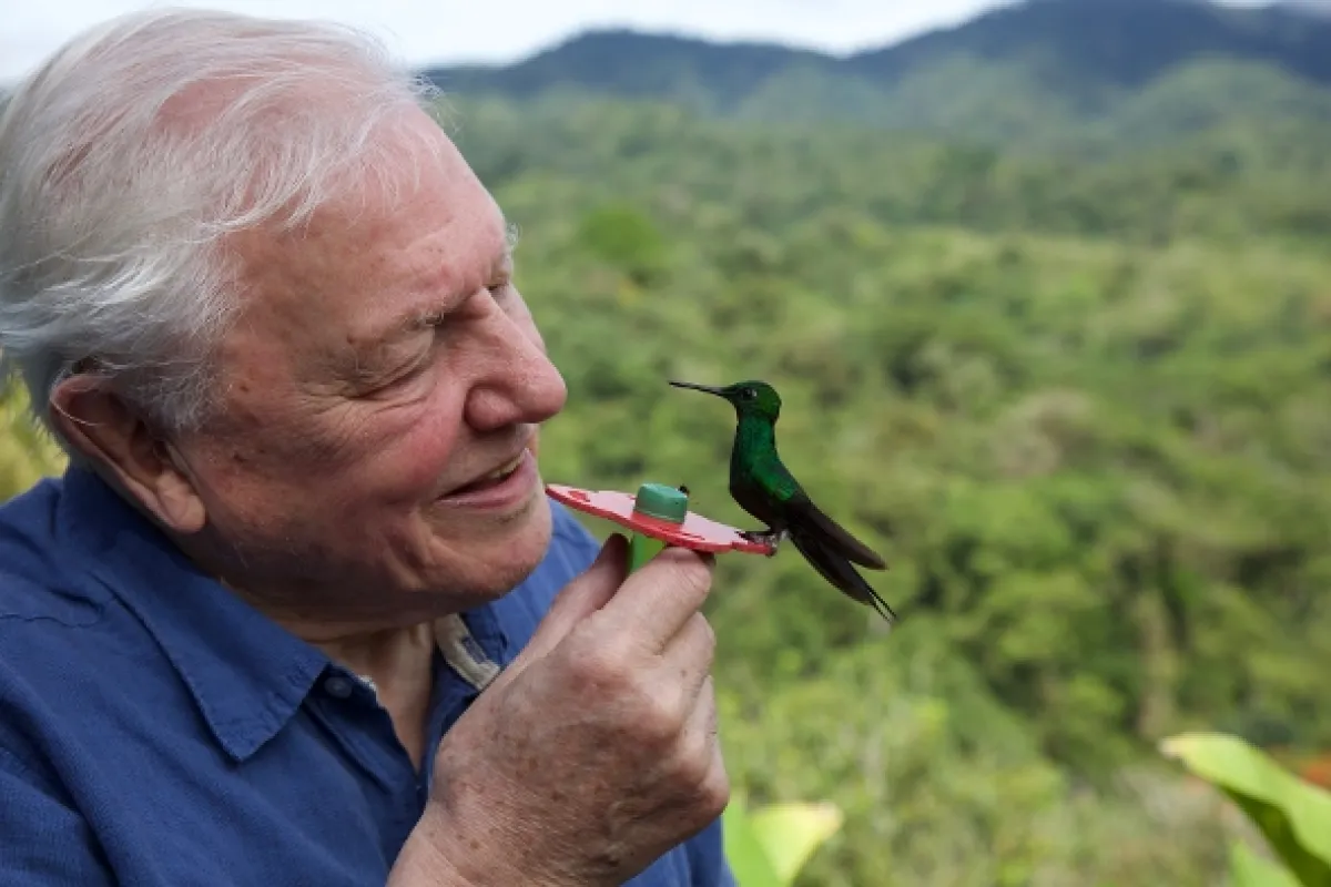 Život v barvě s Davidem Attenboroughem (Life in Colour with David Attenborough), 2021 - fotogaléria