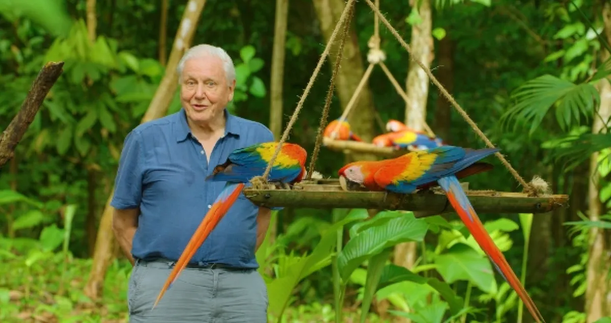 Život v barvě s Davidem Attenboroughem (Life in Colour with David Attenborough), 2021 - fotogaléria