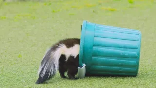 Větrné příběhy