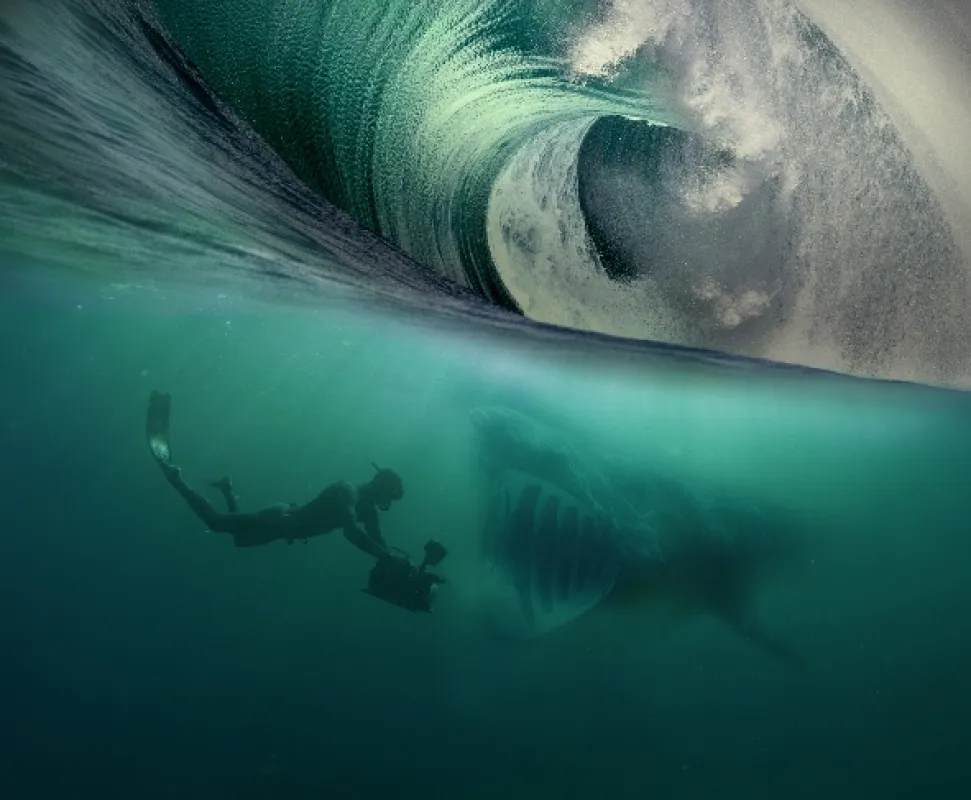 Tajemný severní Atlantik, 2023 - fotogaléria