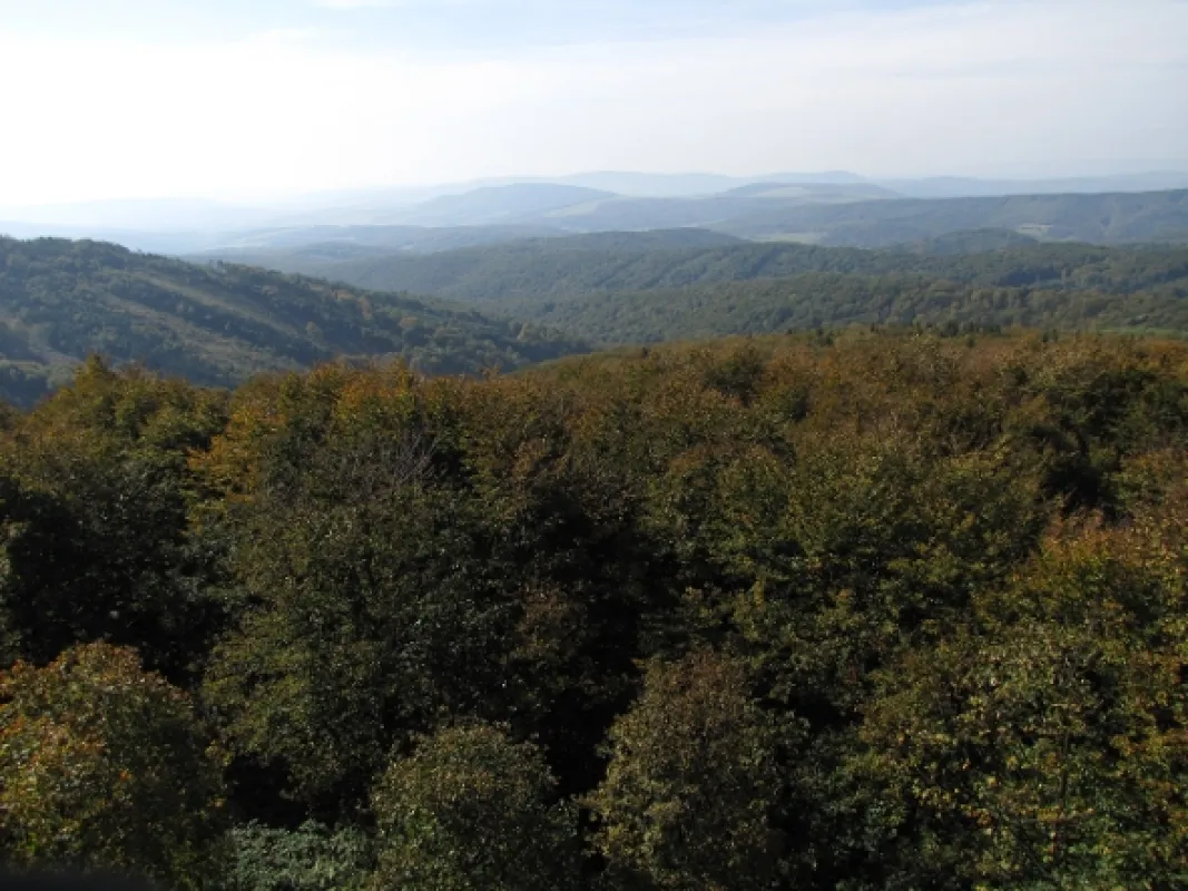 Divočina bez hranic, 2012 - fotogaléria