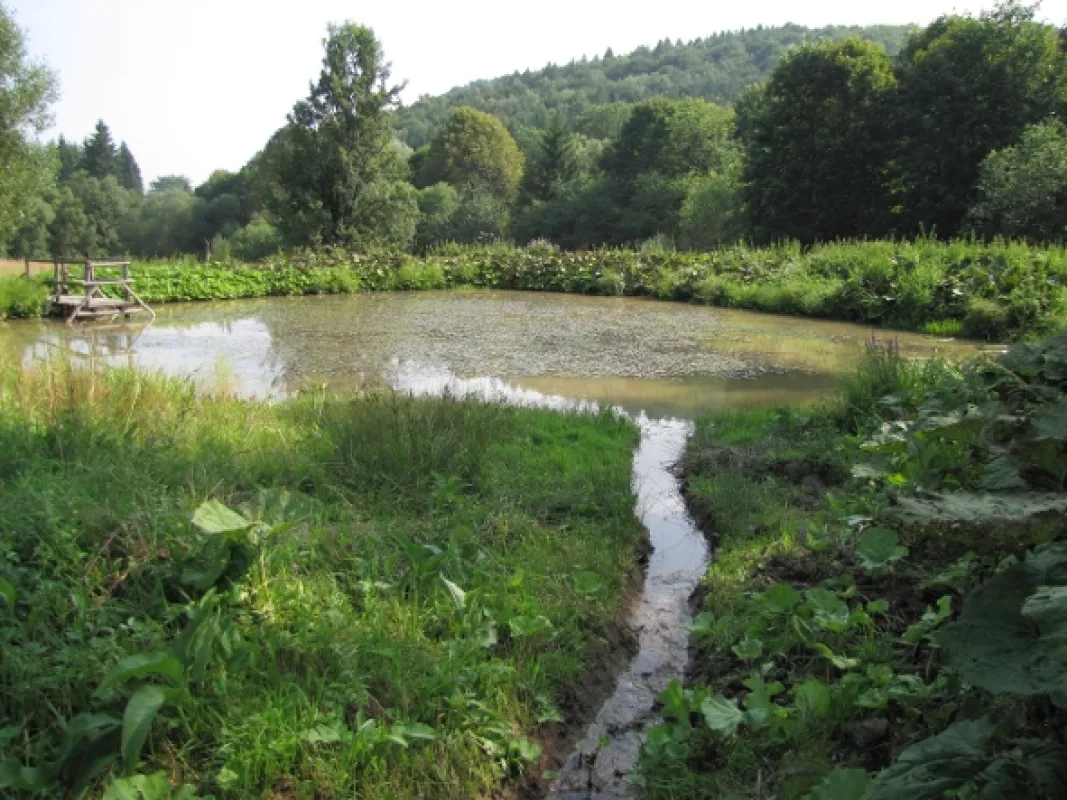 Divočina bez hranic, 2012 - fotogaléria