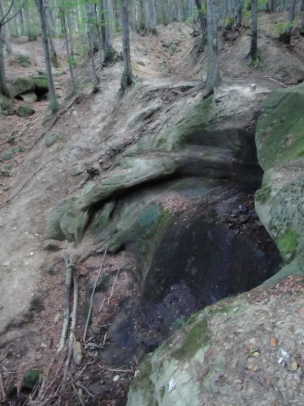 Divočina bez hranic, 2012 - fotogaléria