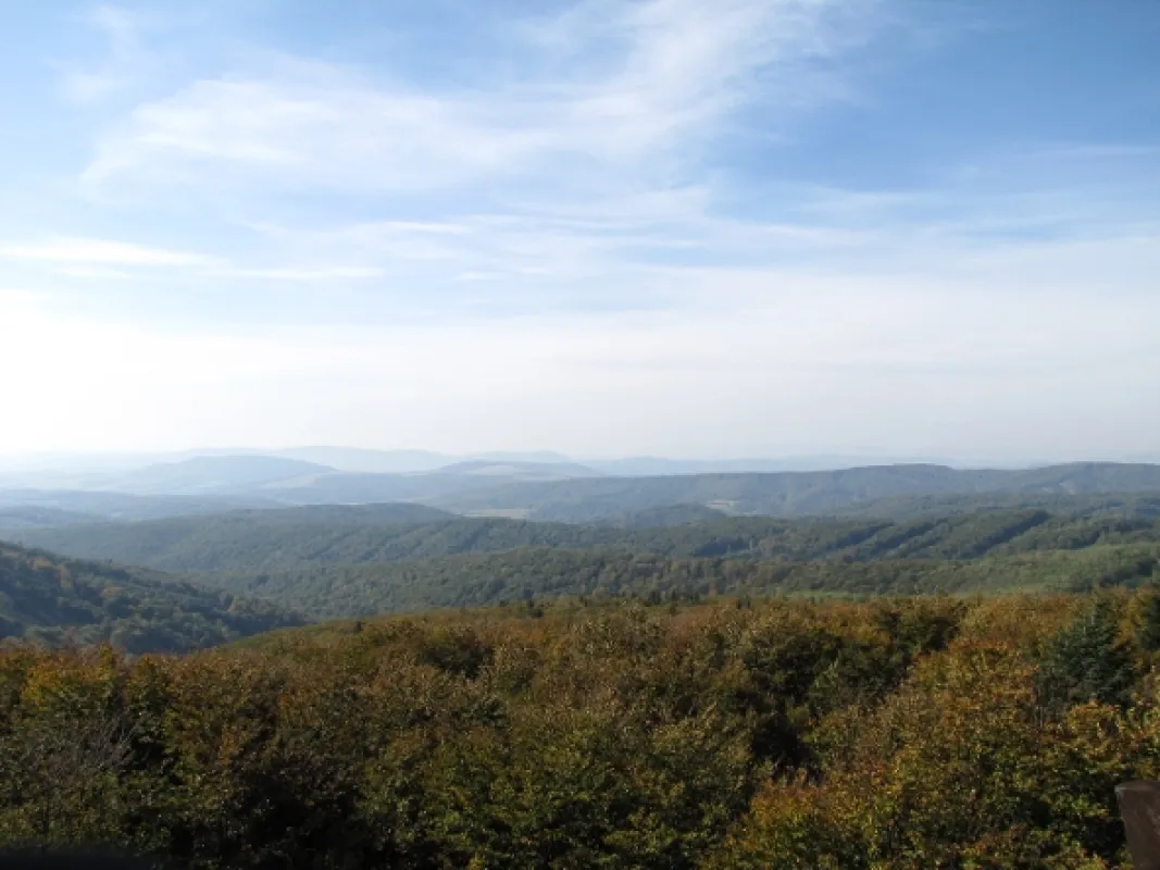 Divočina bez hranic, 2012 - fotogaléria