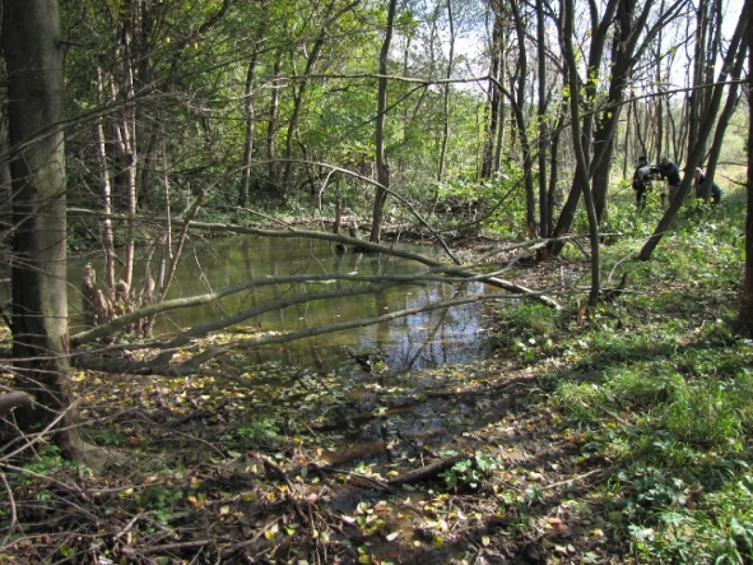 Divočina bez hranic, 2012 - fotogaléria