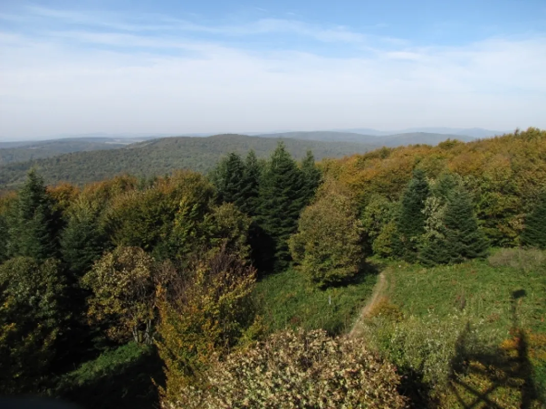 Divočina bez hranic, 2012 - fotogaléria