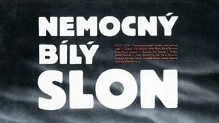 Ukradnutý biely slon
