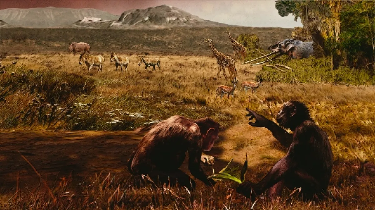 Evropská kolébka: Nový příběh evoluce (Out of Europe), 2019 - fotogaléria