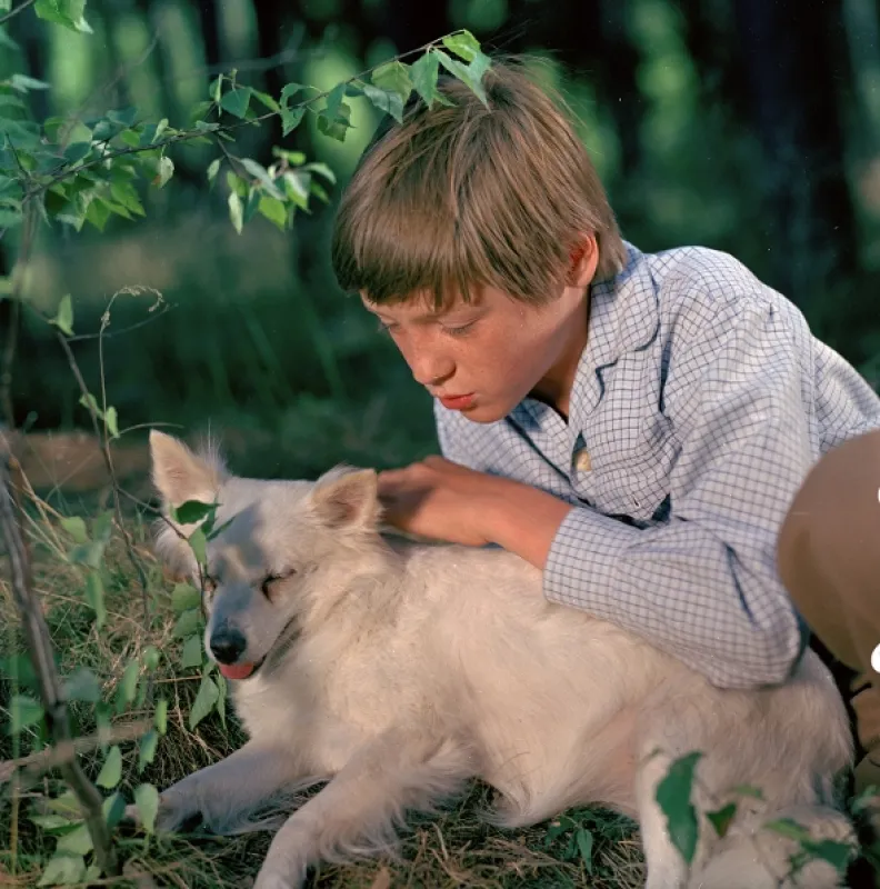 Tajemství proutěného košíku, 1977 - fotogaléria
