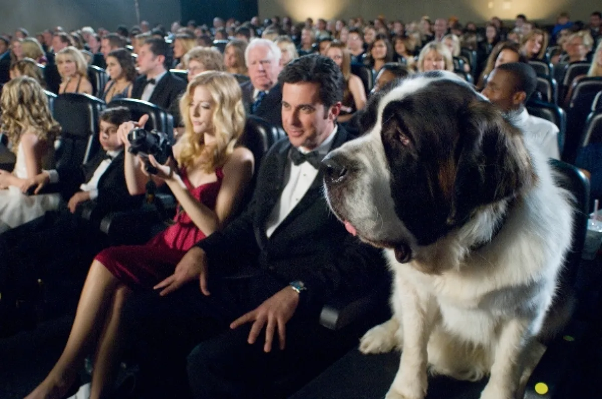 Beethoven: Velký trhák (Beethoven’s Big Break), 2008 - fotogaléria