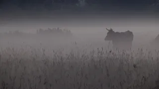 Na cestě po severu Estonska