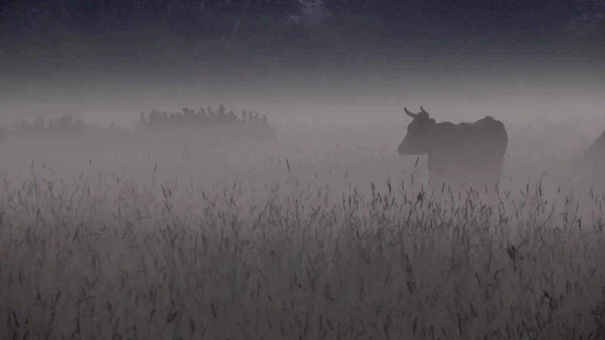 Na cestě po severu Estonska, 2016 - fotogaléria