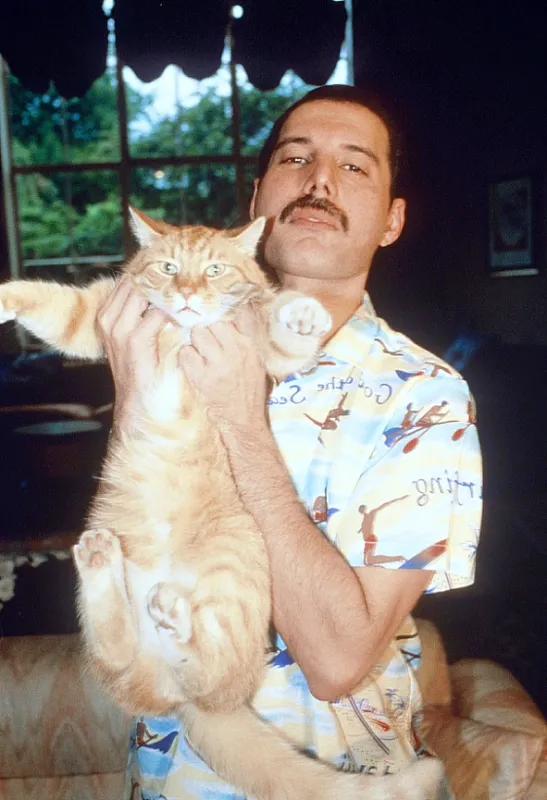 Freddie Mercury: Příběh - fotogaléria