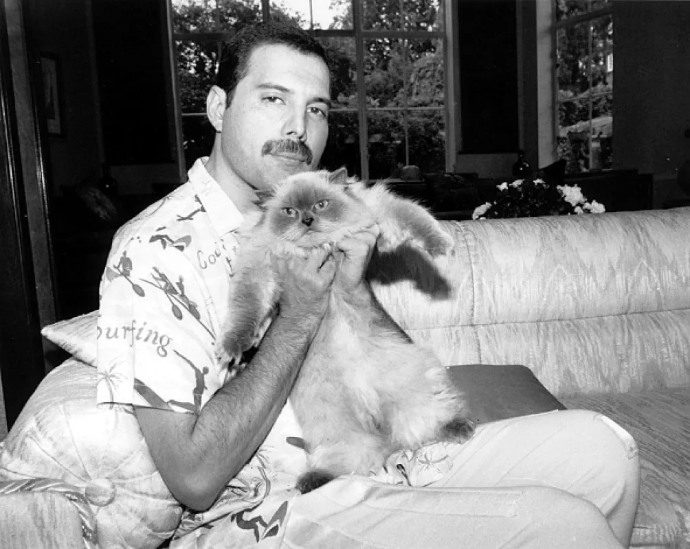 Freddie Mercury: Příběh - fotogaléria