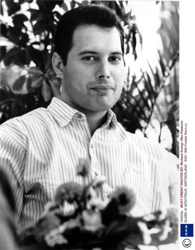 Freddie Mercury: Příběh - fotogaléria