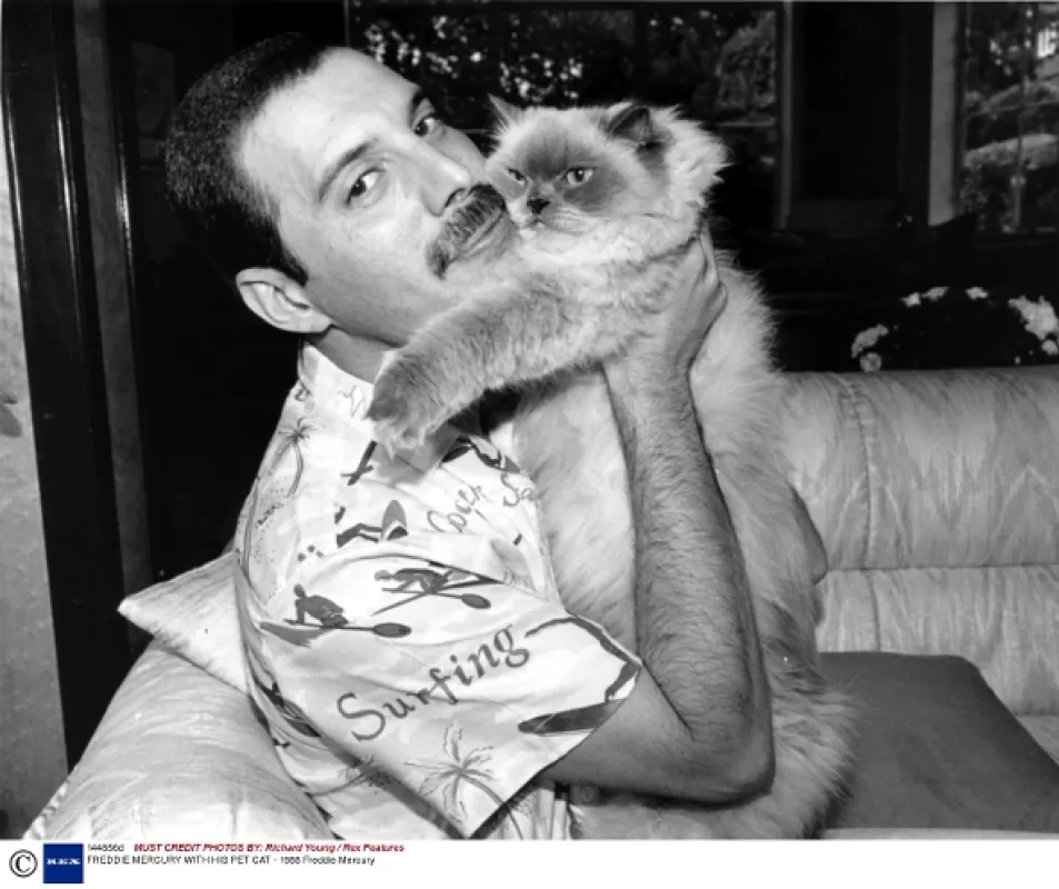 Freddie Mercury: Příběh - fotogaléria