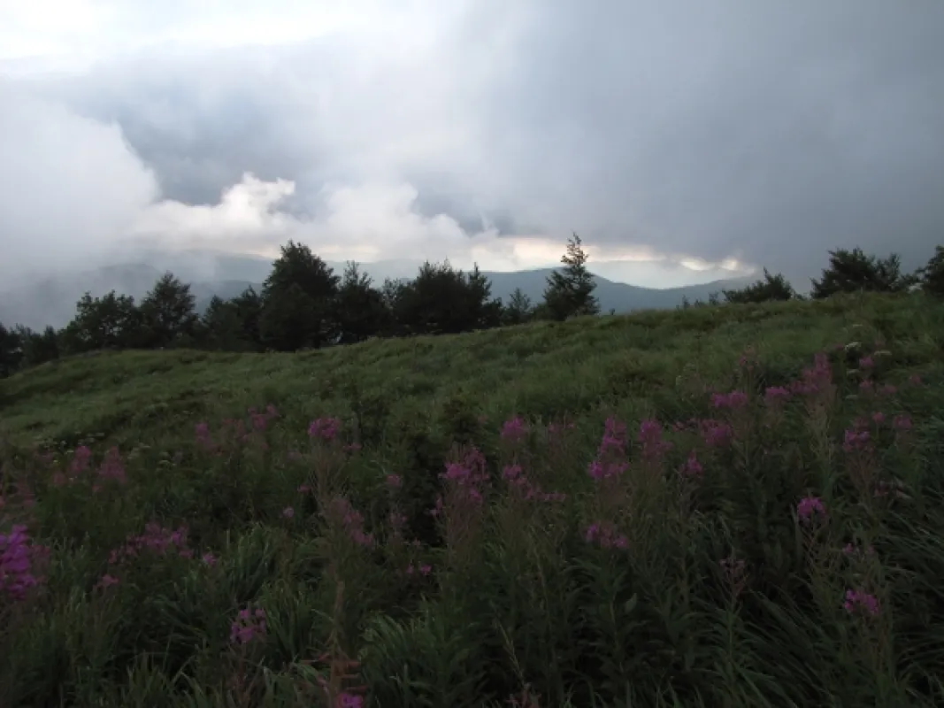 Divočina bez hranic, 2012 - fotogaléria