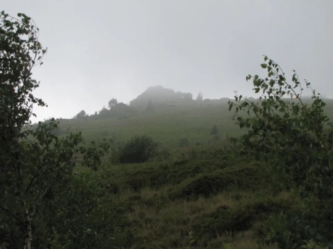 Divočina bez hranic, 2012 - fotogaléria