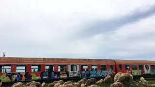 Po kolejích dávných železnic (2)