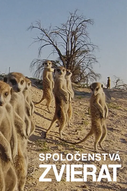 Spoločenstvá zvierat - fotogaléria