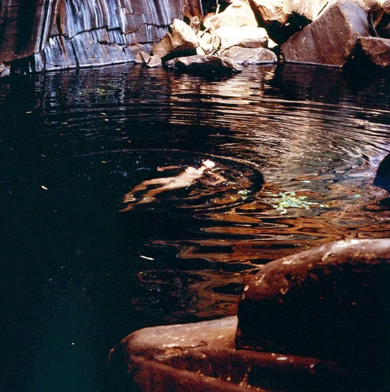 Cesta (Walkabout), 1970 - fotogaléria