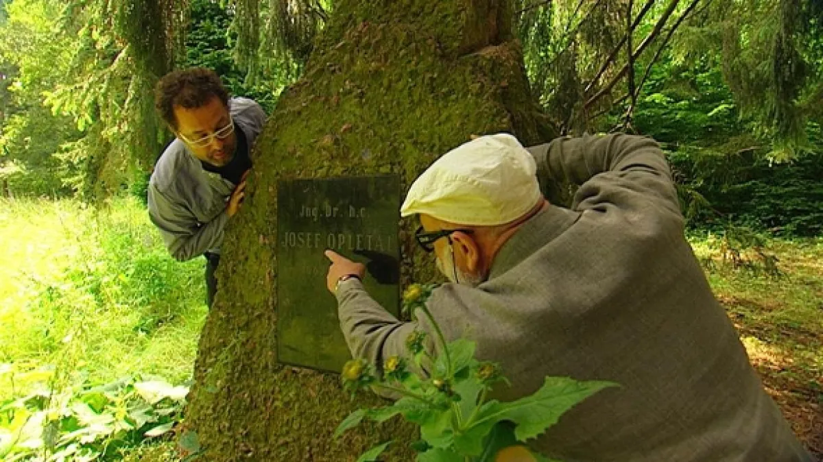Rajské záhrady, 2009 - fotogaléria