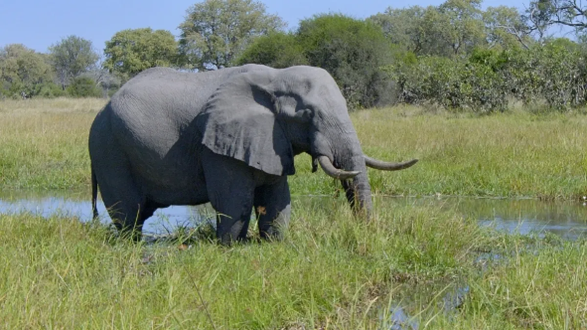 Africký vodní svět (Waterworld Africa), 2015 - fotogaléria