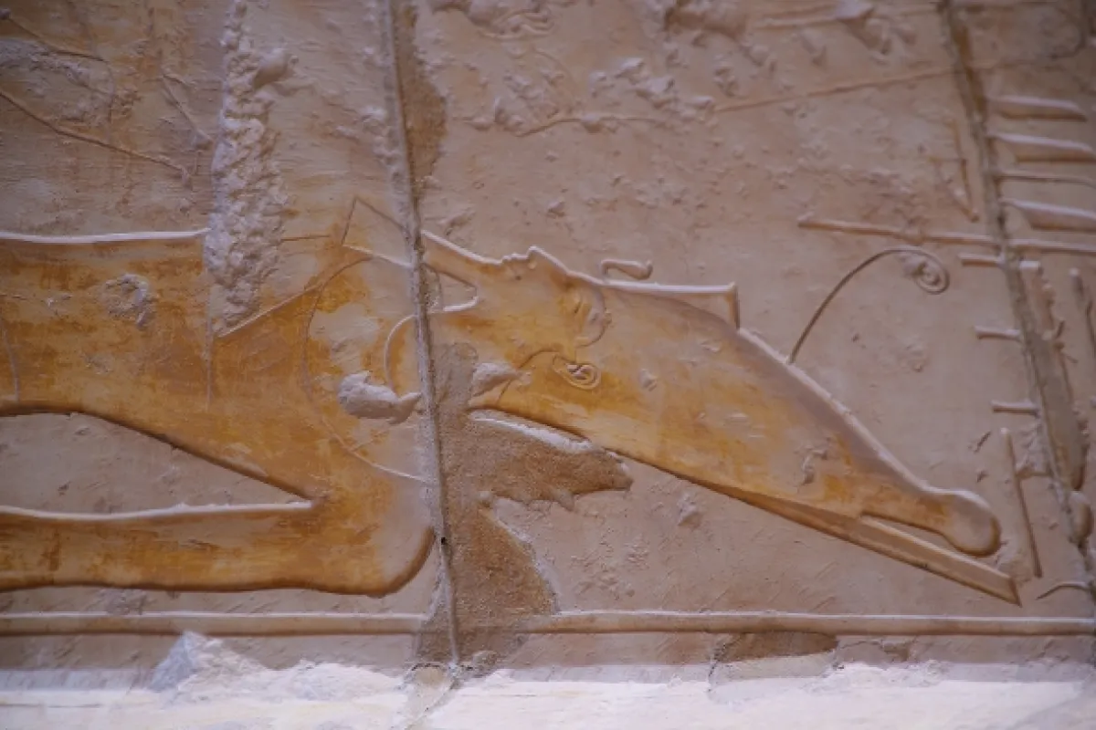 Stratené svety, skryté poklady: Tutanchamón (Tutankhamun’s Secret: Lost Worlds and Hidden Treasures), 2022 - fotogaléria