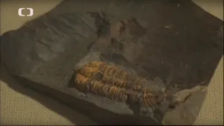 Klenoty naší krajiny