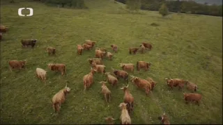 Klenoty naší krajiny