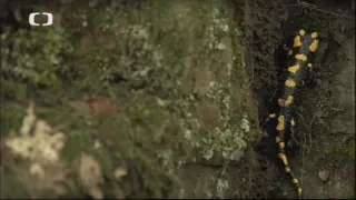 Klenoty naší krajiny