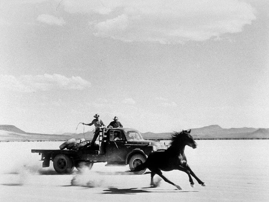 Mustangy, 1961 - fotogaléria