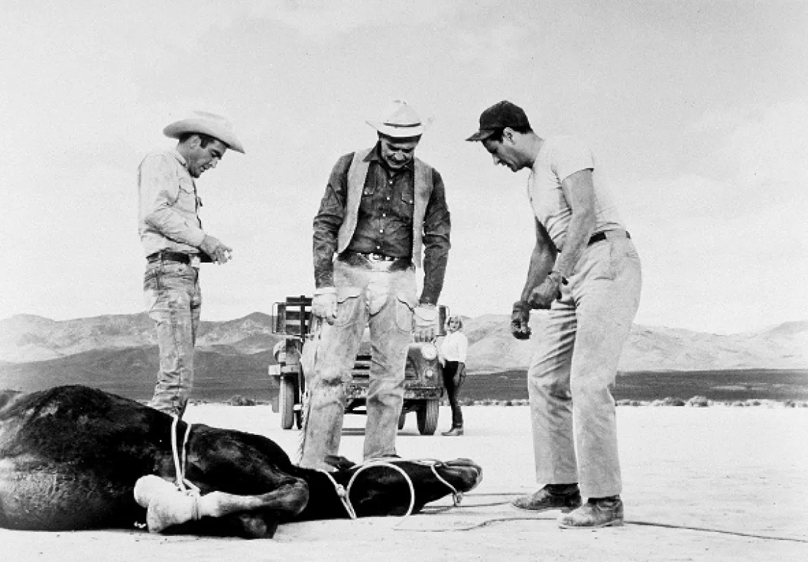 Mustangy, 1961 - fotogaléria