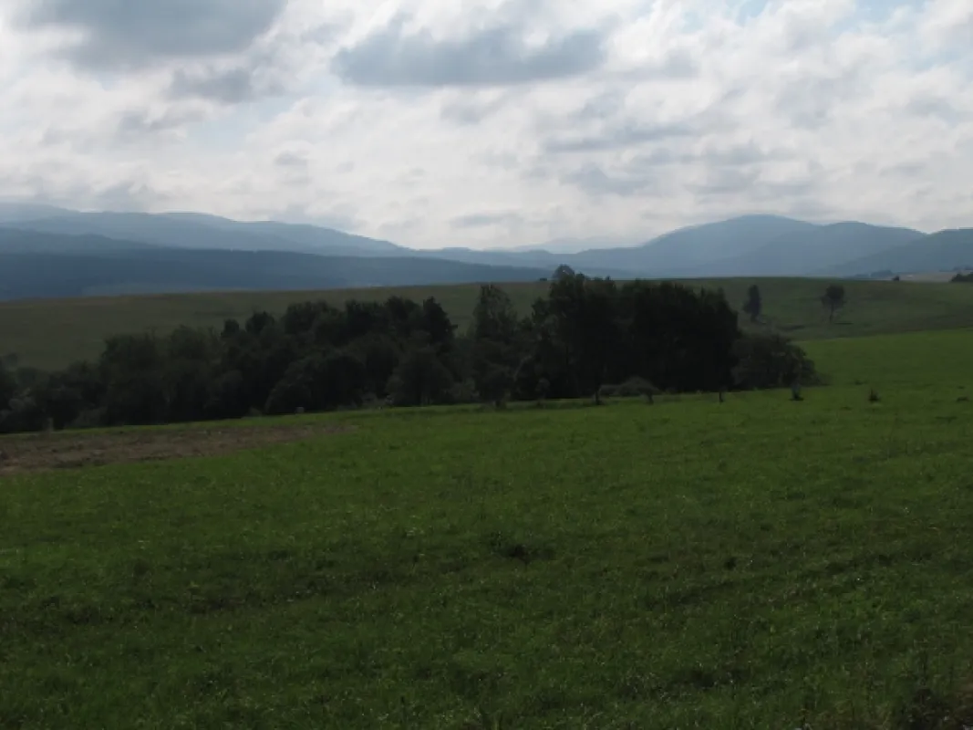 Divočina bez hranic, 2012 - fotogaléria