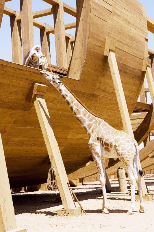Božský Evan (Evan Almighty), 2007 - fotogaléria