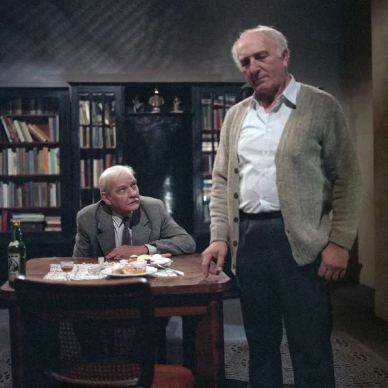 Noční návštěva, 1990 - fotogaléria