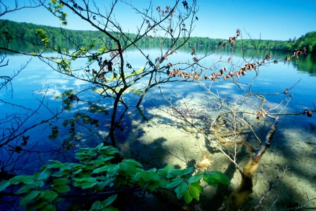Stechlin: Svět průzračných jezer (Der Stechlin: Im Reich der klaren Seen), 2013 - fotogaléria