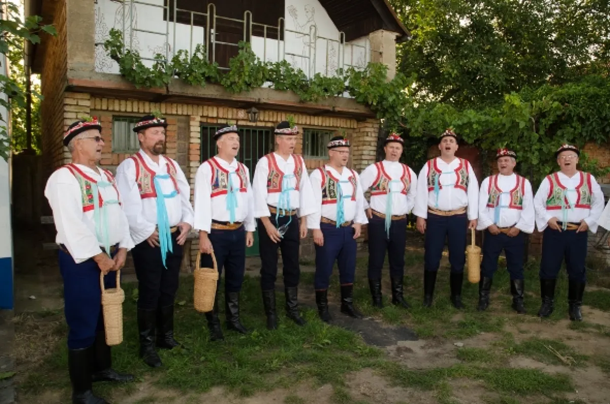 Za našima humny, 2015 - fotogaléria