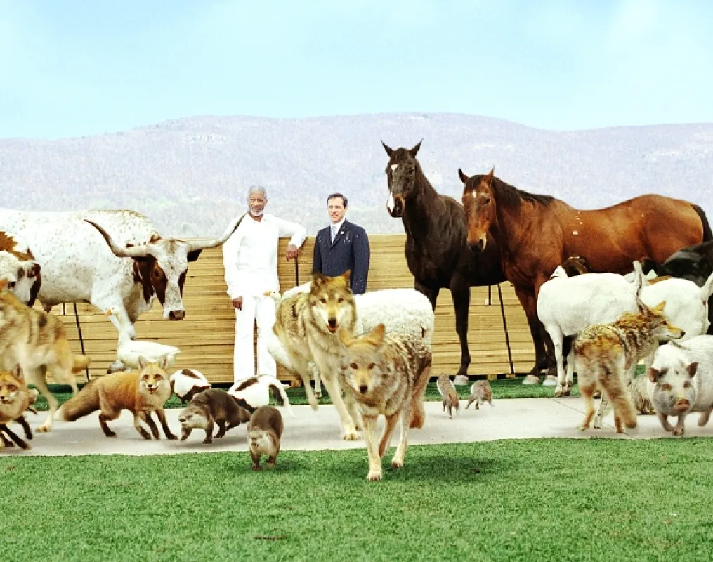 Božský Evan (Evan Almighty), 2007 - fotogaléria