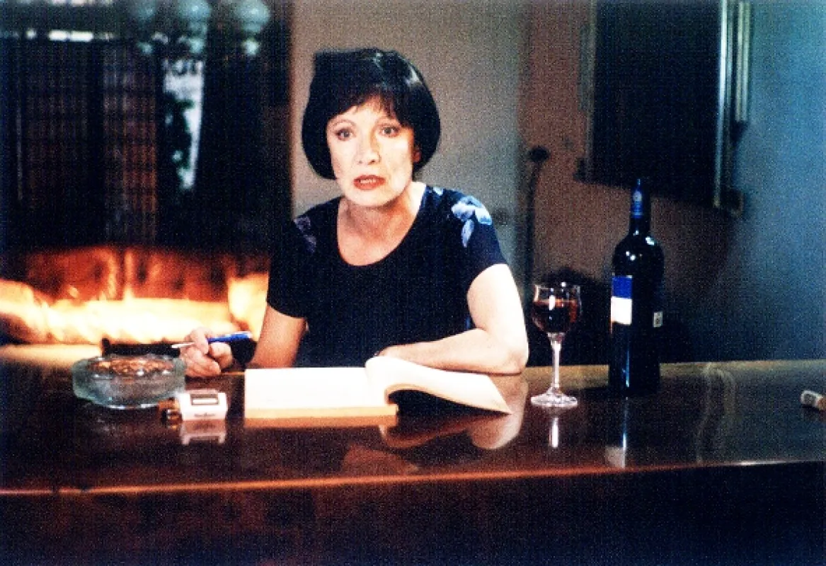 Vražda kočky domácí, 2004 - fotogaléria