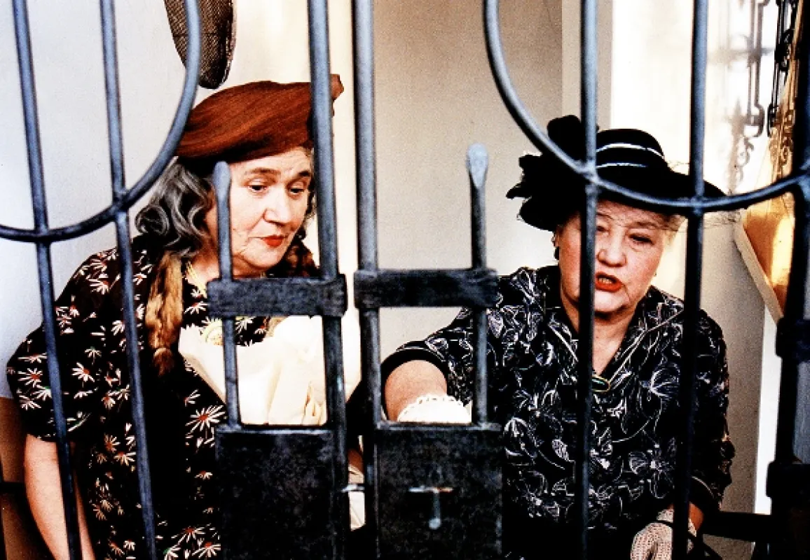 Početí mého mladšího bratra, 2000 - fotogaléria