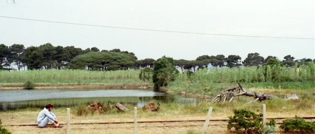 Bláznivý Petříček (Pierrot le fou), 1965 - fotogaléria