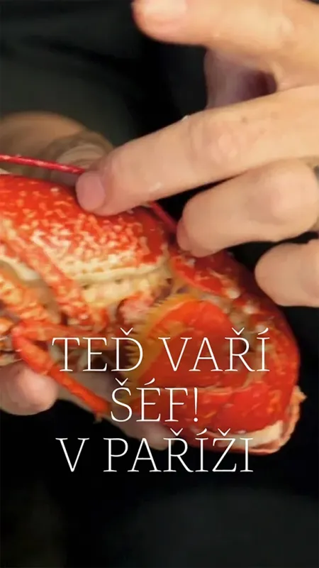 Teď vaří šéf! v Paříži - fotogaléria