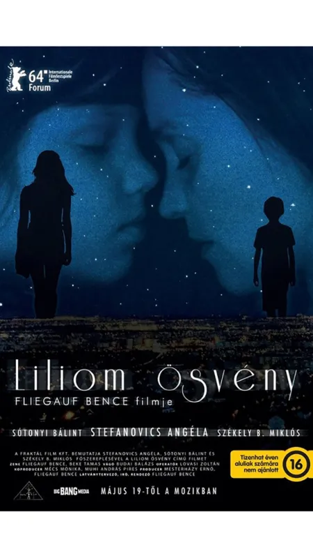 Lily Lane (Liliom ösvény), 2016 - fotogaléria