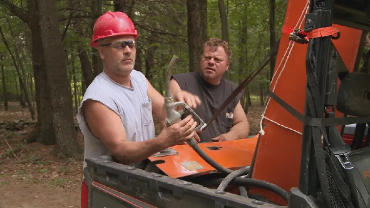 Stavby v divočině (Building Wild II), 2015 - fotogaléria