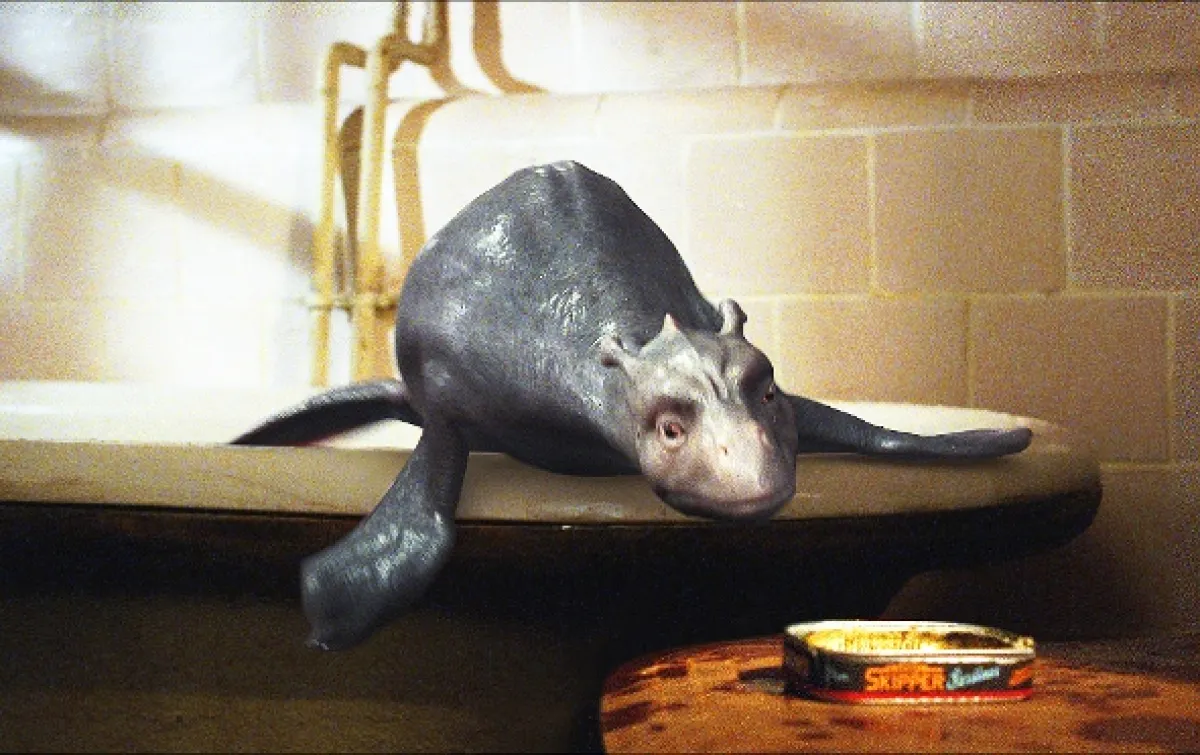 Já a moje příšera (The Water Horse), 2007 - fotogaléria