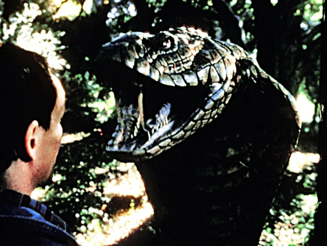 Královská kobra (King Cobra), 1999 - fotogaléria