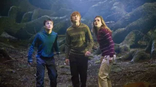 Harry Potter és a Főnix Rendje