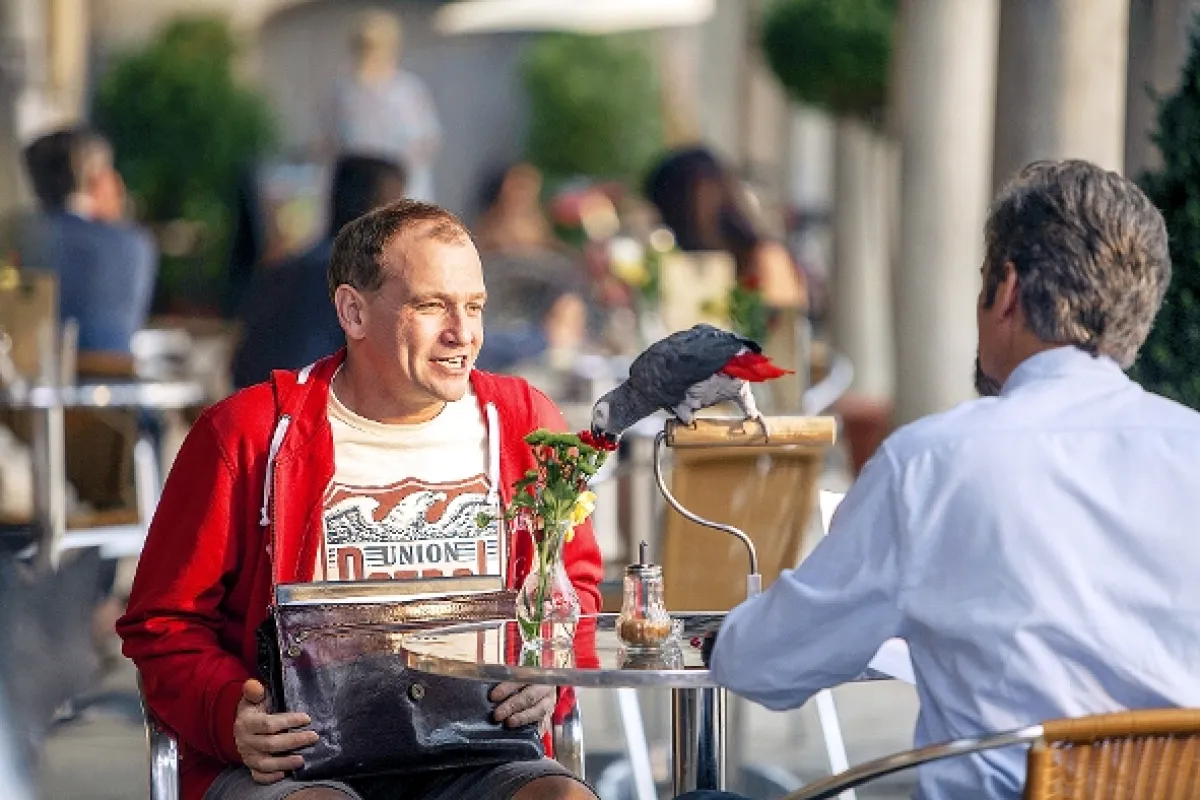 Ztraceni v Mnichově, 2015 - fotogaléria